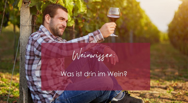 Weinwissen_2