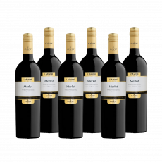 Merlot Trentino DOC Mastri Vernacoli Trentin Rotwein trocken (6 x 0,75 l) Merlot Trentino DOC Mastri Vernacoli Trentin Rotwein trocken (6 x 0,75 l)