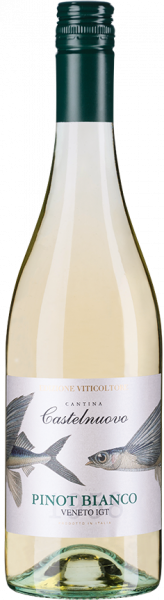 Pinot Bianco Veneto IGT - Edizione Viticoltore Venetien Weißwein trocken