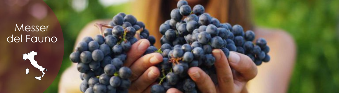 messer del fauno wein italien piemont