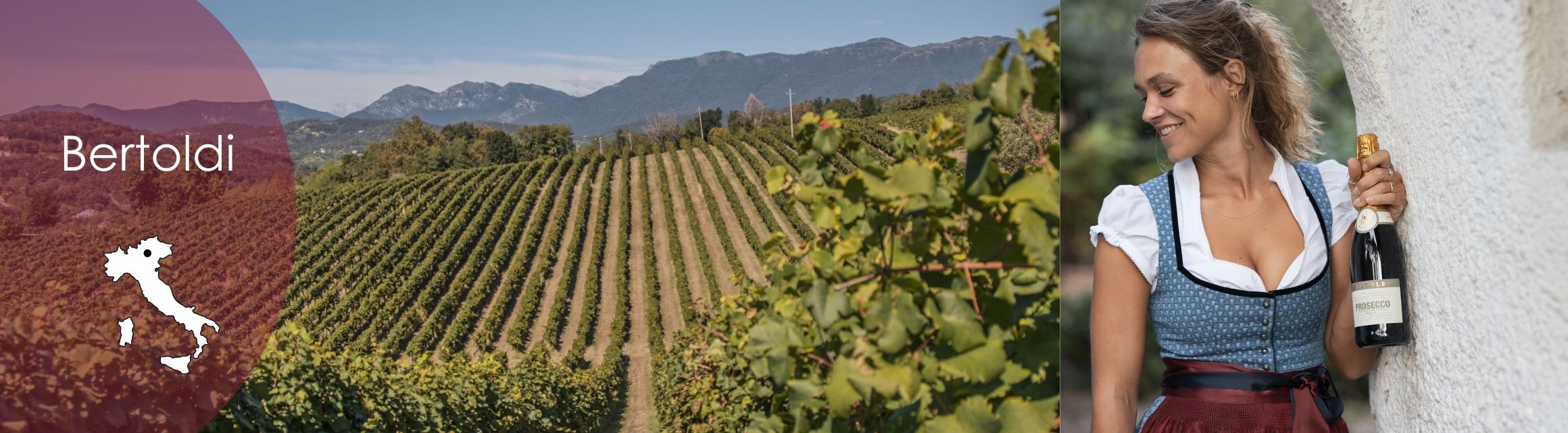 bertoldi wein und prosecco kaufen