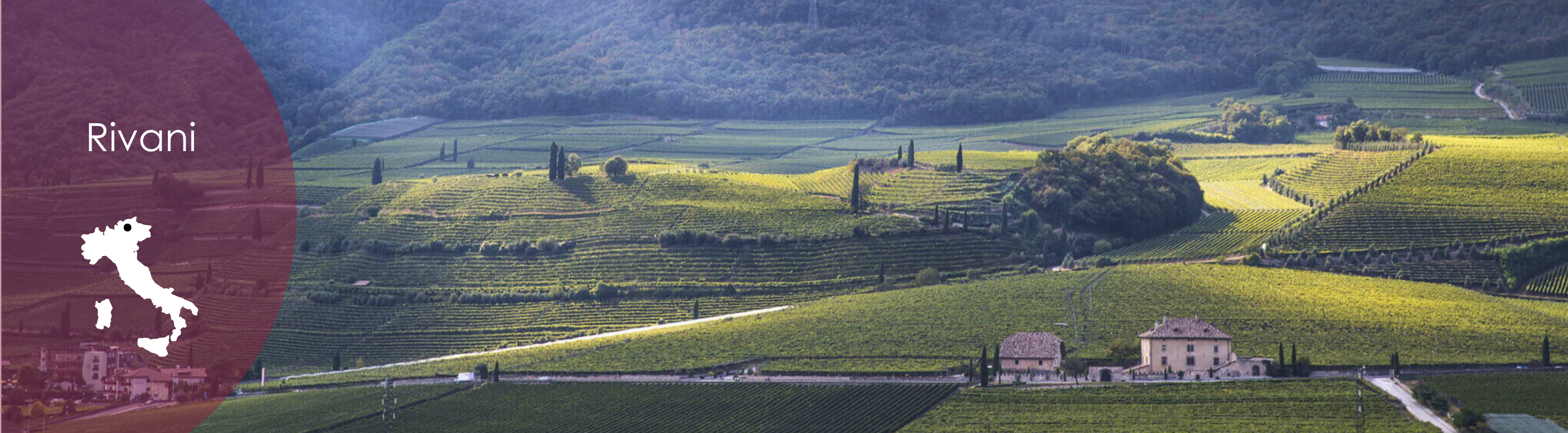 Rivani-Schenk