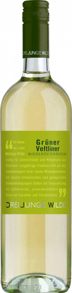Grüner Veltliner QUW Niederösterreich Drei Junge Wilde Weißwein trocken