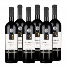 Merlot Barrique Veneto IGT Bertoldi Venetien Rotwein trocken (6 x 0,75 l) Merlot Barrique Veneto IGT Bertoldi Venetien Rotwein trocken (6 x 0,75 l)