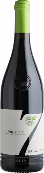 BIO-Merlot Veneto IGT Settimo Podere Pizzolato Venetien Rotwein trocken
