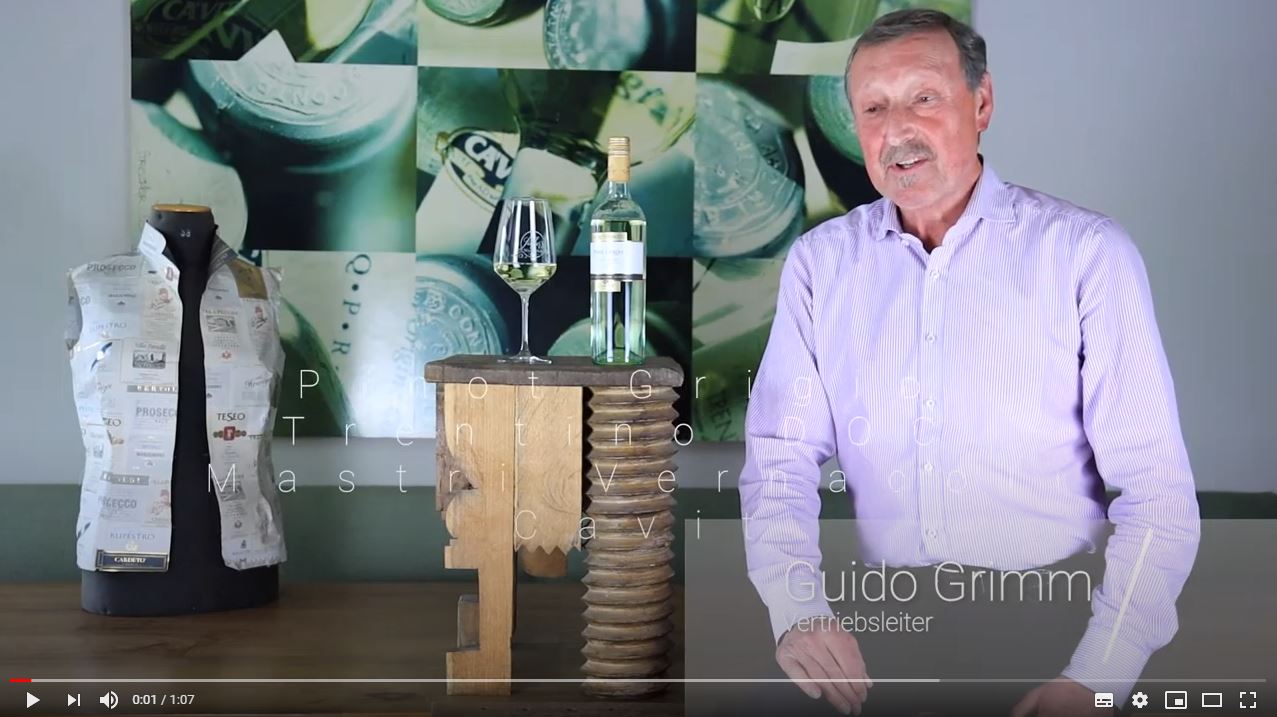 Pinot Grigio Trentino DOC Mastri Vernacoli 0,25l Cavit Trentin Weißwein kaufen münchen | Saffer's WinzerWelt