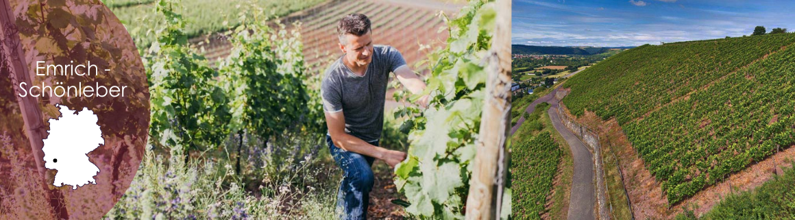 emrich-schönleber wein deutschland