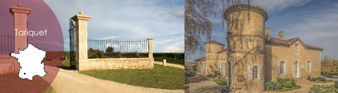 tariquet wein frankreich