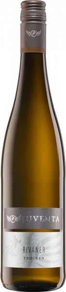 Juventa Rivaner QbA trocken Divino Nordheim Franken Weißwein