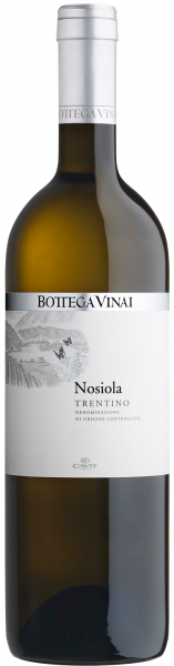 Nosiola Trentino DOC Bottega Vinai Trentin wein kaufen münchen | Saffer's WinzerWelt