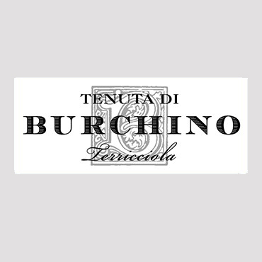 Burchino