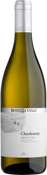 Chardonnay Trentino DOC Bottega Vinai Trentin Weißwein trocken | Saffer's WinzerWelt