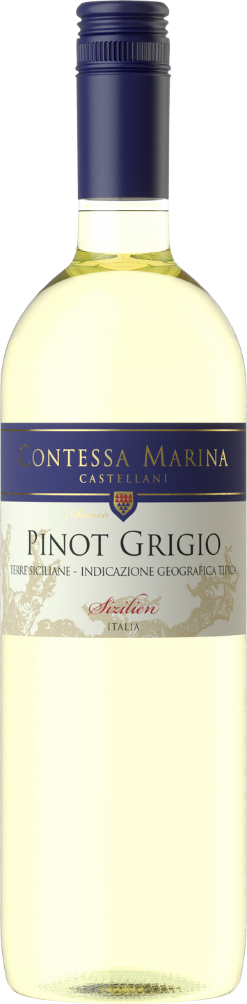 Pinot Grigio Terre Siciliane IGT Contessa Marina Sizilien Weißwein trocken  | Weißwein | Weinart | Wein | Saffers WinzerWelt
