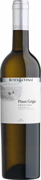 Pinot Grigio Trentino DOC Bottega Vinai Trentin Weißwein trocken | Saffer's WinzerWelt