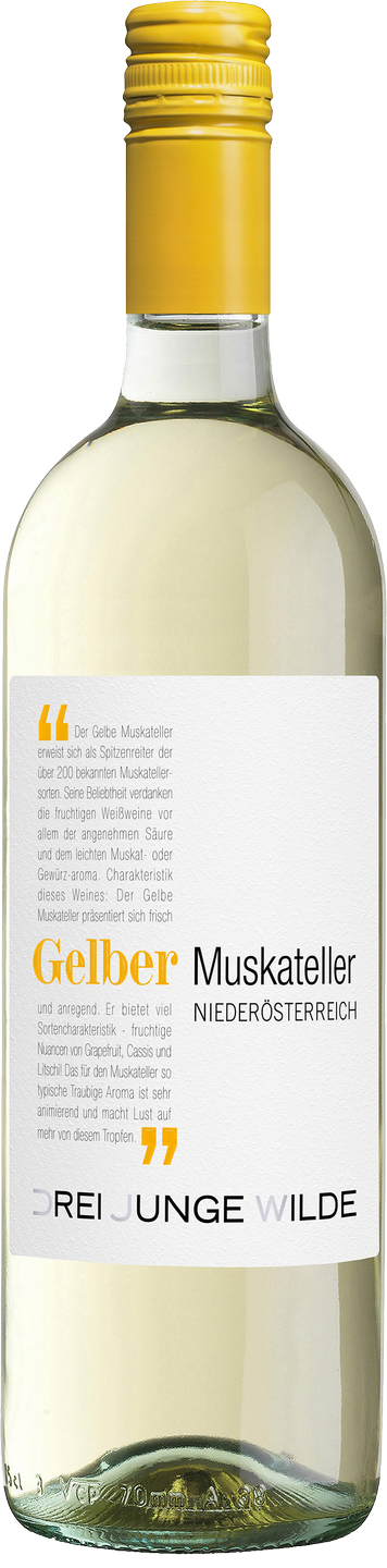 Wilde Weißwein trocken Saffers | Weißwein Burgenland Weinart Drei Gelber Muskateller WinzerWelt Junge | | Wein QUW |