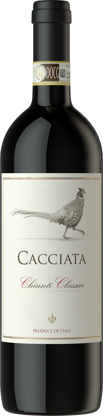 Chianti Classico DOCG Cacciata Castellani Toskana Rotwein trocken | Rotwein  | Weinart | Wein | Saffers WinzerWelt