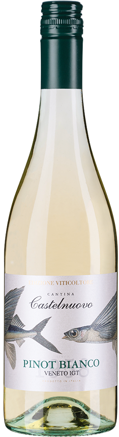 Pinot Bianco Veneto IGT - Edizione Viticoltore Venetien Weißwein trocken |  Weißwein | Weinart | Wein | Saffers WinzerWelt