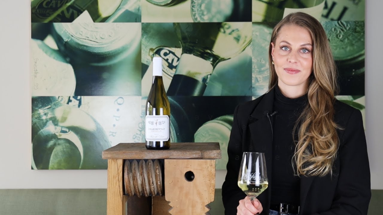 Chardonnay Terre Siciliane IGT Messer del Fauno Sizilien Italien Weißwein trocken