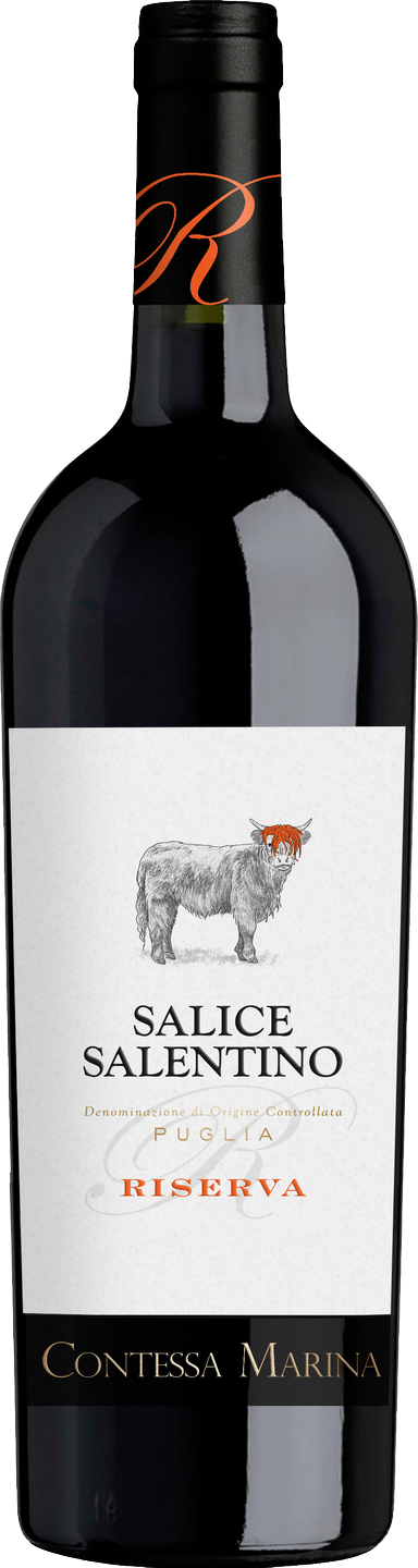 Riserva Salice DOC WinzerWelt Salentino Rotwein | trocken Nere Apulien Saffers Fiamme