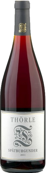 Spätburgunder trocken Thörle QbA Rheinhessen Rotwein | Saffer's WinzerWelt