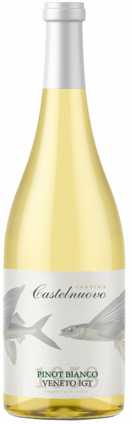 Pinot Bianco Veneto IGT - Edizione Viticoltore Venetien Weißwein trocken