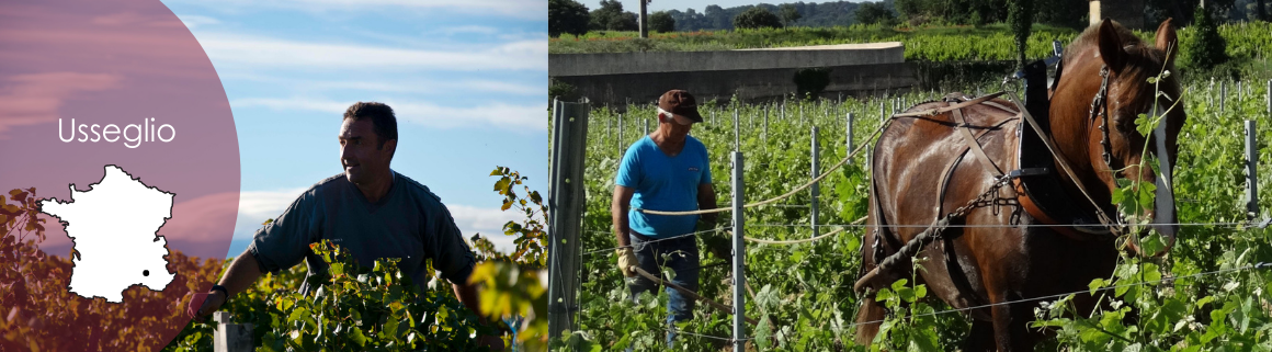 usseglio wein frankreich kaufen