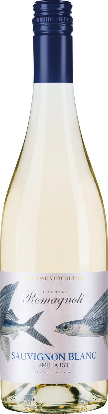 Sauvignon Blanc Emilia IGT Edizione Viticoltore Weißwein Venetion trocken |  Weißwein | Weinart | Wein | Saffers WinzerWelt