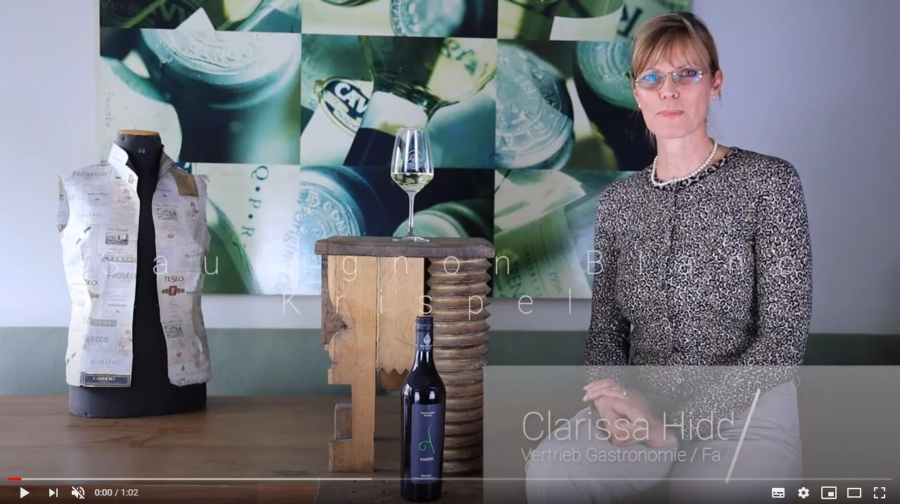 Sauvignon Blanc Straden Vulkanland Steiermark DAC Bio Krispel Weißwein trocken