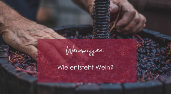 Weinwissen_6