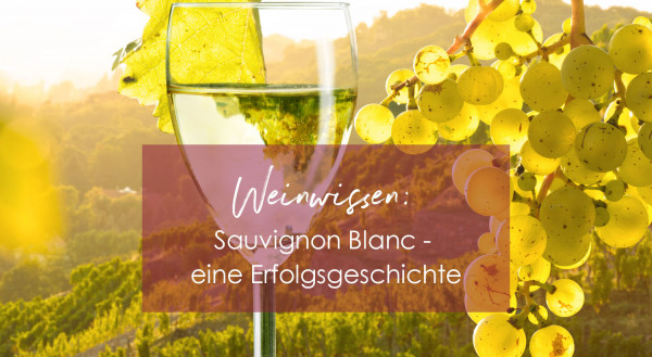 blog_sauvblanc2