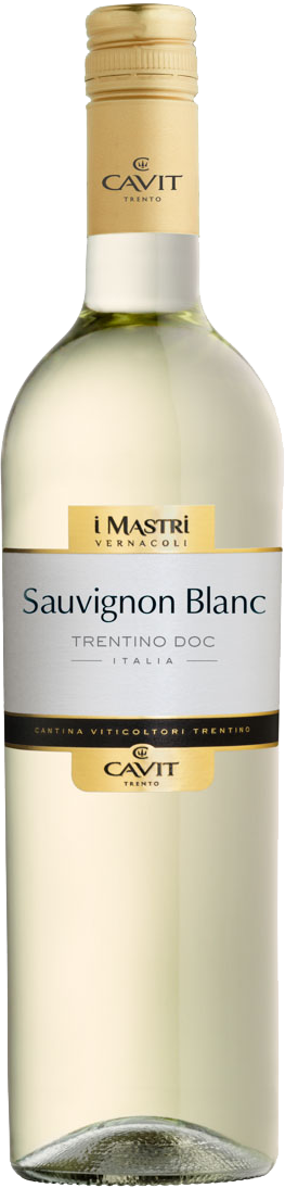 Sauvignon Blanc Saffers | Trentino WinzerWelt Mastri Vernacoli DOC