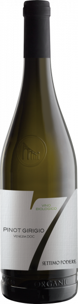 BIO-Pinot Grigio Venezia DOC Settimo Podere Pizzolato Venetien trocken | Saffer's WinzerWelt