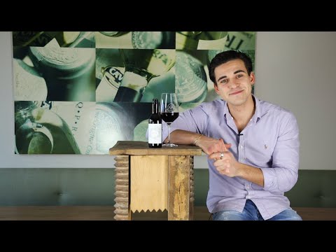 Merlot Veneto IGT 0,25l Villa Mura Venetien Rotwein trocken