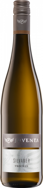 Juventa Silvaner QbA trocken Divino Nordheim Franken Weißwein | Saffer's WinzerWelt