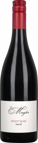 Pinot Noir Fass XI Mugler QbA Pfalz Rotwein trocken | Saffer's WinzerWelt