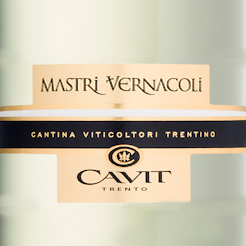 cavit mastri vernacoli