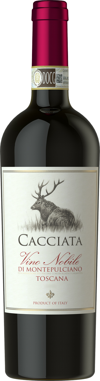 Vino Nobile di Montepulciano DOCG Cacciata Castellani Toskana Rotwein  trocken | Rotwein | Weinart | Wein | Saffers WinzerWelt | Rotweine