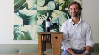 Zero Rosso entalkoholisiert 14 Contessa Marina Apulien Italien Rotwein alkoholfrei trocken