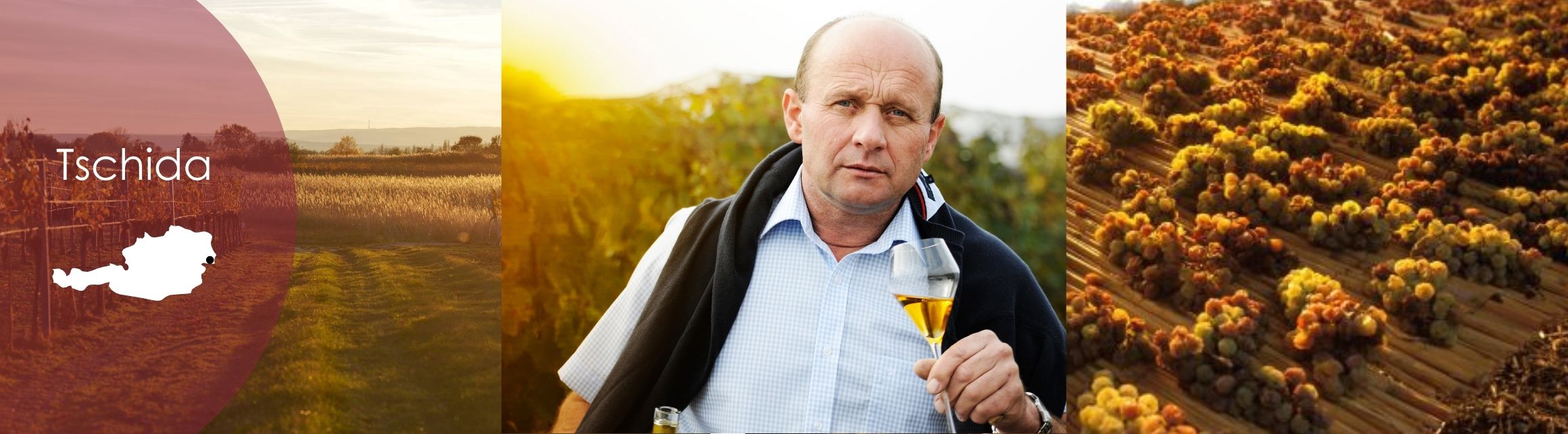 tschida wein österreich