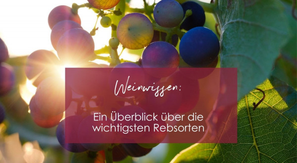 Weinwissen_8