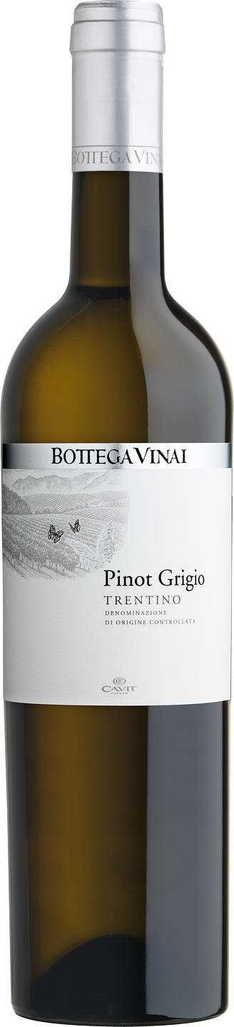 pinot grigio cavit