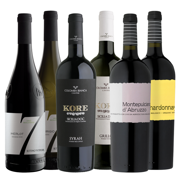 Probierpaket Italien Bio Weine | Saffer's WinzerWelt