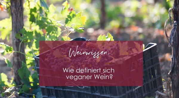 Weinwissen_4