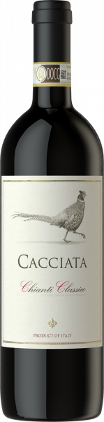 Chianti Classico DOCG Cacciata Castellani Toskana Rotwein trocken