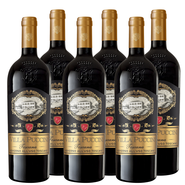 Weinpaket Toscana Governo all´uso toscano IGT Villa Puccini Toskana Rotwein