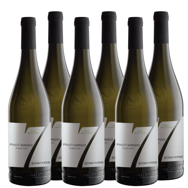 Weinpaket BIO-Pinot Grigio Venezia DOC Settimo Podere Pizzolato Venetien Weißwein trocken